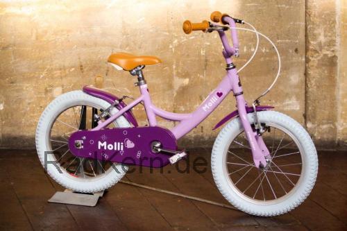 Raleigh Molli technische daten